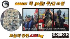쭈.갑 먹물조황+ - 9월17일 문어 대박조황 이제 시작입니다 사진