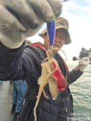 8일 뉴라이브호 동호화단체 주꾸미조황~~ 사진
