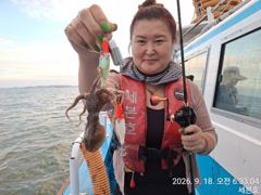 [오늘의조황] 9월 18일 쭈꾸미 갑오징어 출조 조황 사진