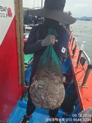 손님 한분이 문어 때문에 냉동고 구입했다네요 오늘도 대박 사진
