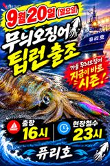 9월20일무늬팁런나갑니다 사진