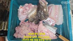 대구라바 선비 인하 합니다 7만원 사진