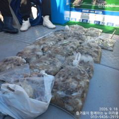 9월18일 뉴미라클호 10분 대박조황