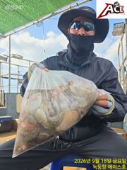 녹동항 문어 대박조황 사진