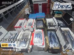 추전 연휴 도 날씨좋고 소수인원 5인 이상 바로 출항합니다 사진