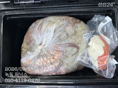 9월 18일 문어 조황입니다.