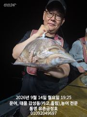통영 금정호 문어선상 주말 정상출항합니다 자리여유있어요^^