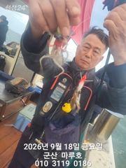 9월 18일 군산 마루호 쭈꾸미 실시간 조항~☆