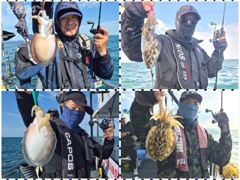 9월18일 군산 똥까호 갑오징어 조황 정보... 백갑오버 3명