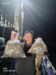 6시간야간문어조황 대박!!!!