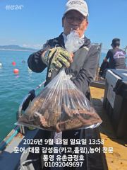 통영 금정호 문어선상 주말 정상출항합니다 자리여유있어요^^ 사진