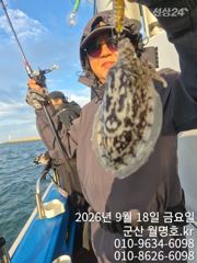 18일,군산 쭈꾸미~갑돌이외 함께 오늘도 잘 나오네요~~실시간~오전/오후반출조~~군산낚시프라자 월명호 사진