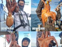 뉴오리온호 문어 "8시 30분 현재 200개 돌파" 실시간(18일) 사진