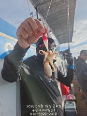 [군산포세이돈2호]18일 쭈꾸미시실시간~~~~~ 사진
