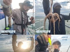 뉴오리온호 쭈꾸미 낚시 실시간 굿~조황 (19일) 사진