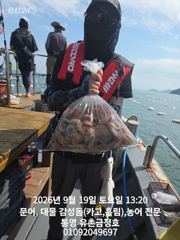 [통영] 통영 금정호 오전문어선상 드디어 마릿수 싸이즈 좋아집니다!! 내… 사진