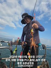 통영 금정호 오후 문어도 재미나게 시작합니다 내일 오전 자리있어요~~ 사진