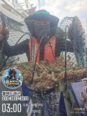 [사천] 삼천포 돌문어 훌륭합니다 ~~(월욜 갑오징어) 사진