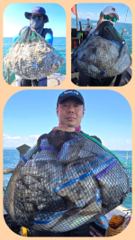 [무창포 플러스호] 9월 19일 사이즈 좋은 왕쭈꾸미낚시 260마리, 8.3.kg 대박조황 . 예약문의 010-3304-7556 사진