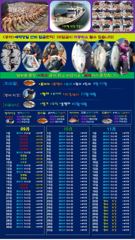 [고흥,녹동] 괴물급 5짜 붉바리들 퍼레이드 이정도는 잡아봐야지요 초대박 붉바… 사진
