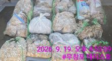 먹물조황 글만 보기 사진