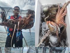 문어,엄청빠지고도,키로,중치,120수,왕창,,(예약가능)