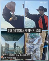 [피닉스피싱호] 9월 19일(토) 체험낚시 조황 - 무시 물때 잔잔한 바다에서 초보 조사님들 전원 손맛 제대로 봤습니다 사진