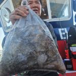 9월19일 쭈꾸미 굿굿 조황 사진