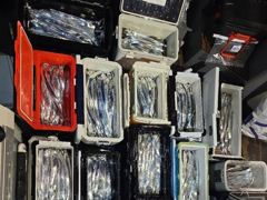 1시간전 [격포] 9월19일 부안 한아름호 쭈꾸미(갑오징어 이벤트) 사진