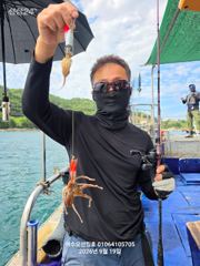 260919 여수 쭈꾸미 호조황