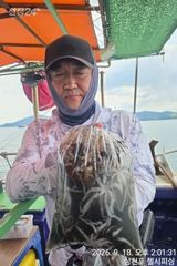 쭈꾸미 마릿수좋습니다 사진