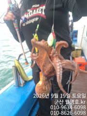 19일 월명호 쭈꾸미 오전반 실시간 문어다 문어 사진
