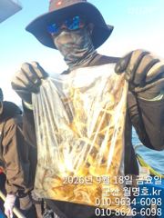 18일,군산쭈꾸미~반나절만 해도 굿조황~문어,갑이는 덤~오후반 조황~군산낚시프라자 월명호 사진