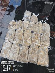 쭈꾸미 세자리는 기본 200수 목표로하고 오세요