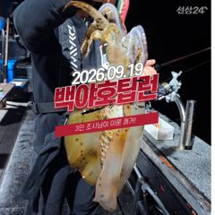 [백야호] 09.19 제주 무늬오징어 팁런 조황 사진
