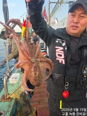 9월 19일 간만에 문어사냥