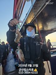 군산킹스타호(9/20)쭈꾸미 실시간~계속해서 출조합니다 (예약가… 사진