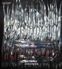 [진해] 20일,입항<내만갈치>3,4지 용가리까지 입질콱콱!!오늘 일,월… 사진