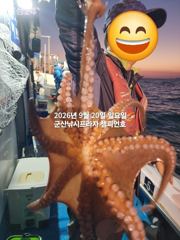 20일 주간문어~덩치급 문어들~연일 대박, 오늘도 잘 나오고 있어요~~실시간~ 군산낚시프라자 챔피언호