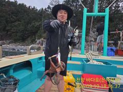 [진해] 진해 돌문어 새까만 돌문어 1kg오버 토요일 조황 최고두자리수 … 사진
