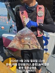 통영 금정호 문어선상 마릿수 손맛!!조황 내일오전 자리여유있습니다 사진
