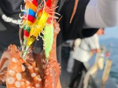 돌문어주,야간바글바글개인두자리마릿수굿~굿 사진