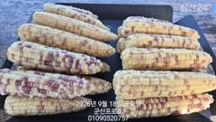 군산 프로호 9월18일 주꾸미 조황입니다 사진