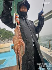 [진해] ~~*굵직한돌문어 마리수 좋습니다~(예약가능)*~~ 사진