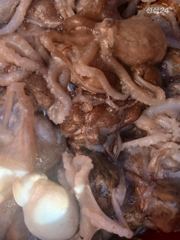 [여수,광양] 정원호)주꾸미 조과 입니다~!! 사진