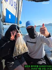삼천포화이트펄 9월20일 쭈꾸미조황입니다 사진
