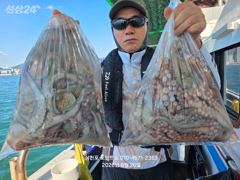 주말 삼천포 돌문어 조황입니다.(낼 주꾸미 출조확정 예약중!!!) 사진