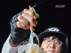 [고성] 무늬팁런 오늘도 몬스터와 마릿수가