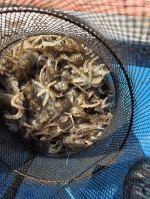 9월20일 조황입니다
