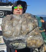 9월20일 쭈꾸미 갑오징어 쌍걸이로 망태기 마리수 조황요~ (28일 먼바다 왕왕문어갑오징어 병행출조합니다.)